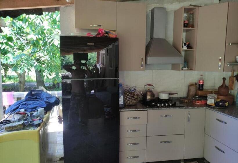 اتاق استاندارد چهارنفره با بالکن, Valdi Guest Shekvetili