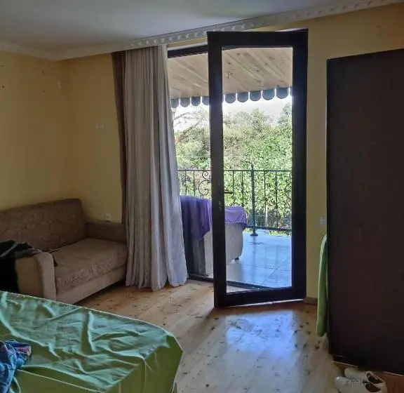 Standard Kolmen Hengen Huone Parveke, Valdi Guest Shekvetili