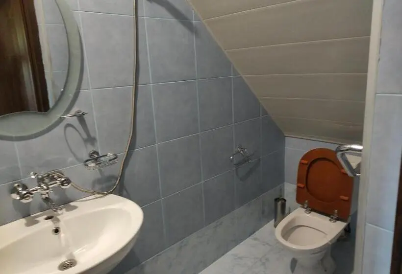 Basic Kolmen Hengen Huone, Valdi Guest Shekvetili