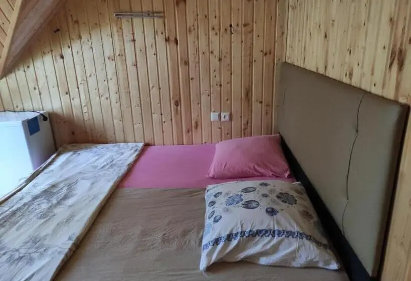 Basic Kolmen Hengen Huone, Valdi Guest Shekvetili