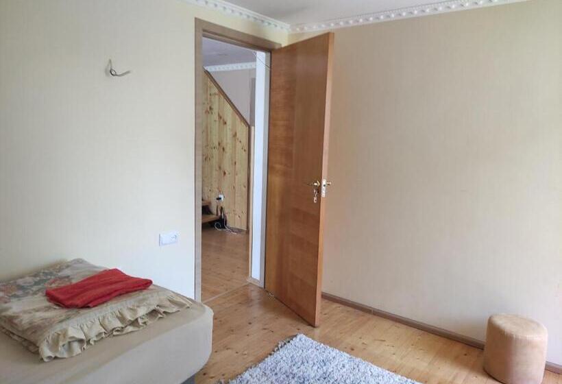 اتاق استاندارد چهارنفره با چشمانداز باغ, Valdi Guest Shekvetili