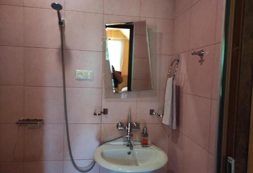 اتاق استاندارد, Valdi Guest Shekvetili