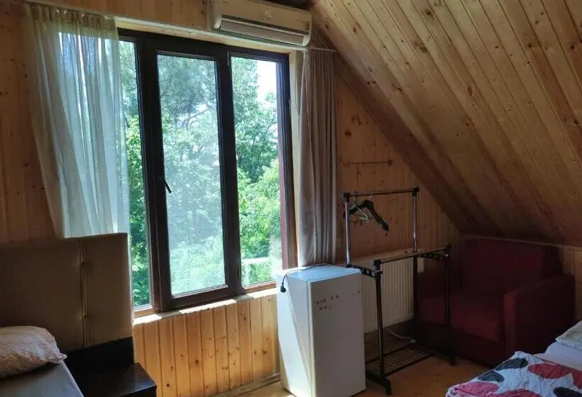 Standard-huone, Valdi Guest Shekvetili