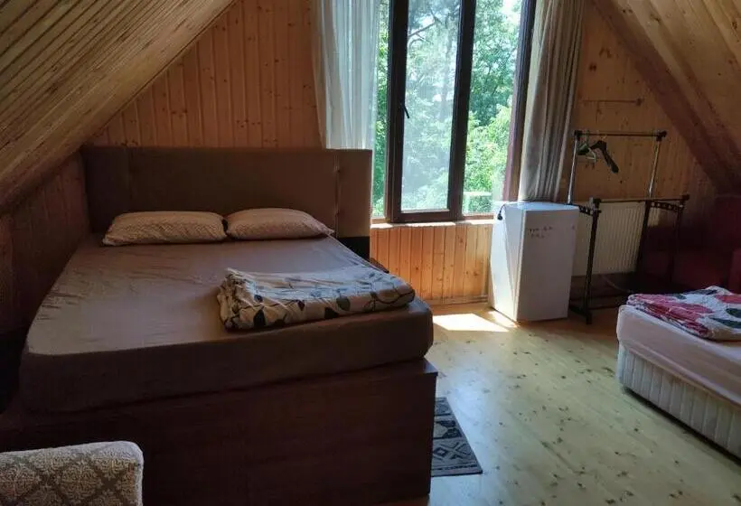 Standard-huone, Valdi Guest Shekvetili