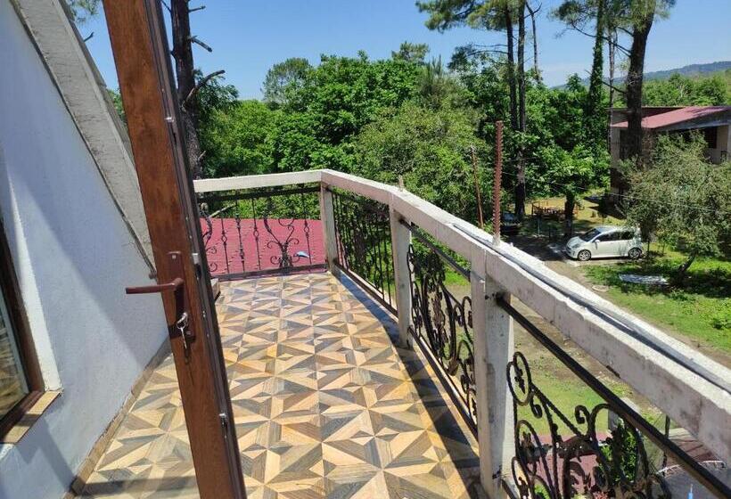 اتاق استاندارد, Valdi Guest Shekvetili