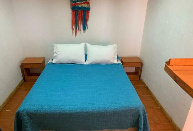 スタンダードルーム, Lefun & Lafquen De Pichilemu