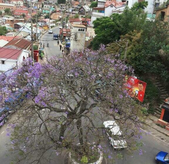 اتاق استاندارد, A L