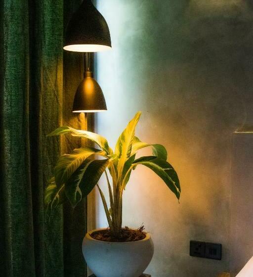 １ベッドルームのデラックスアパートメント, Serene Villa