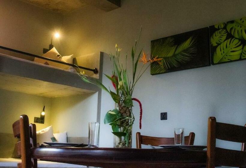 １ベッドルームのデラックスアパートメント, Serene Villa