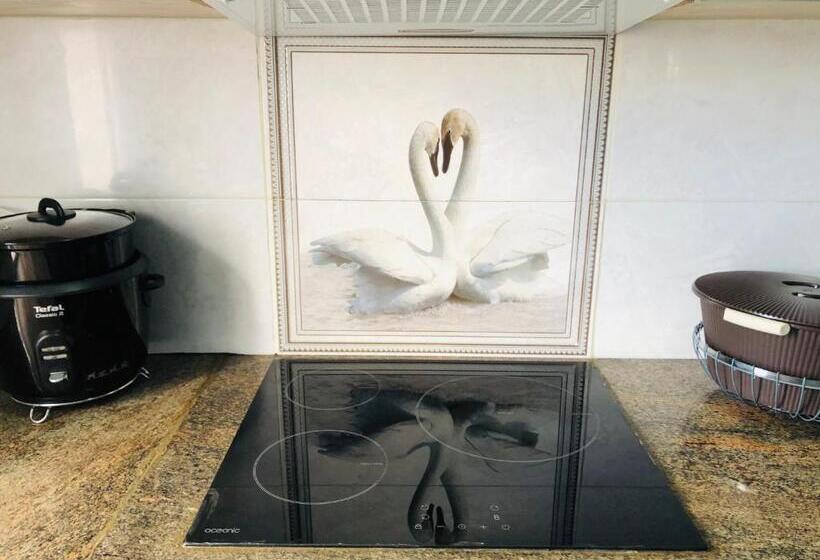 سوییت خانوادگی, Human Hotel Ivato