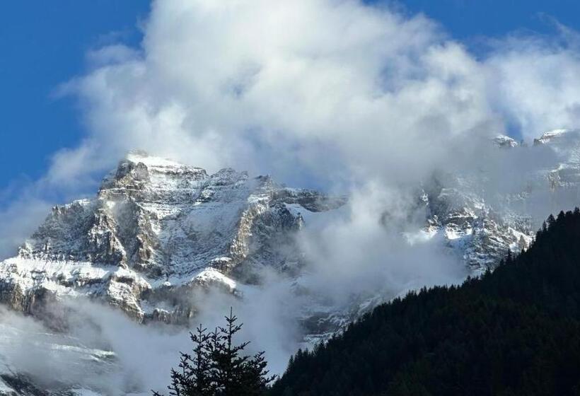 带1个卧室带花园景观的公寓, Les Quatre Saisons Balcon Et Jardin