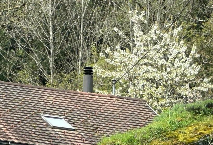 带1个卧室带花园景观的公寓, Les Quatre Saisons Balcon Et Jardin