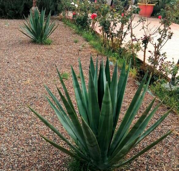 اتاق استاندارد, Villa Darga Rouge