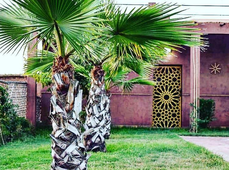 استودیو استاندارد با چشم‌انداز استخر, Villa Darga Rouge