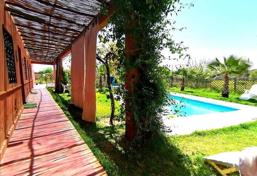 اتاق لوکس, Villa Darga Rouge