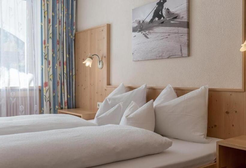 آپارتمان سوپریور 2 خوابه, Pension Bergfrieden