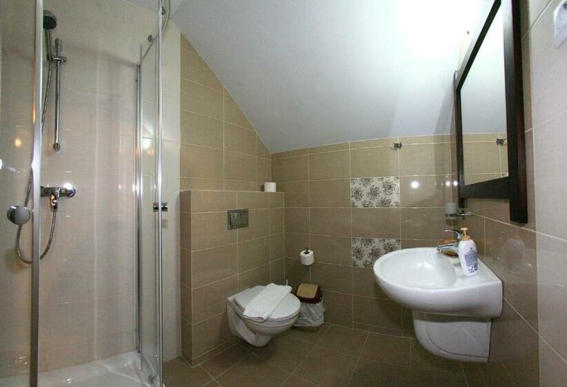 Номер Стандарт, Pensiunea Casa Elvira