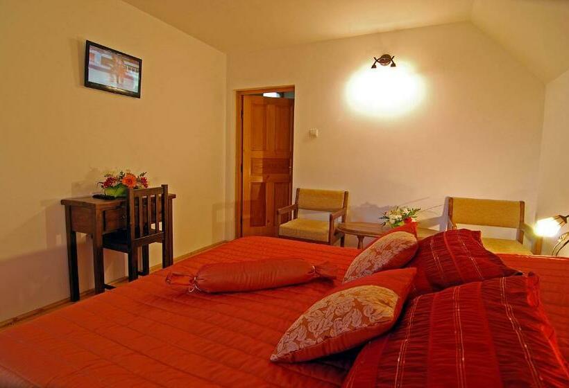 标准间, Pensiunea Casa Elvira