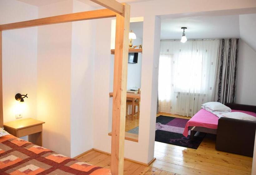 Люкс, Pensiunea Casa Elvira