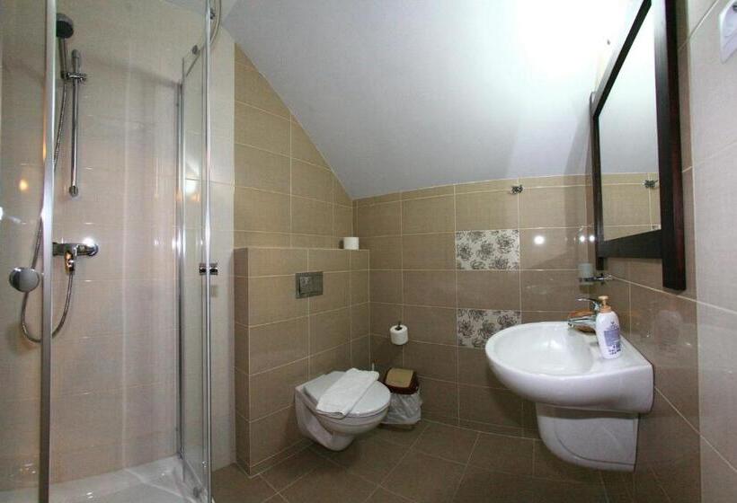 Люкс, Pensiunea Casa Elvira