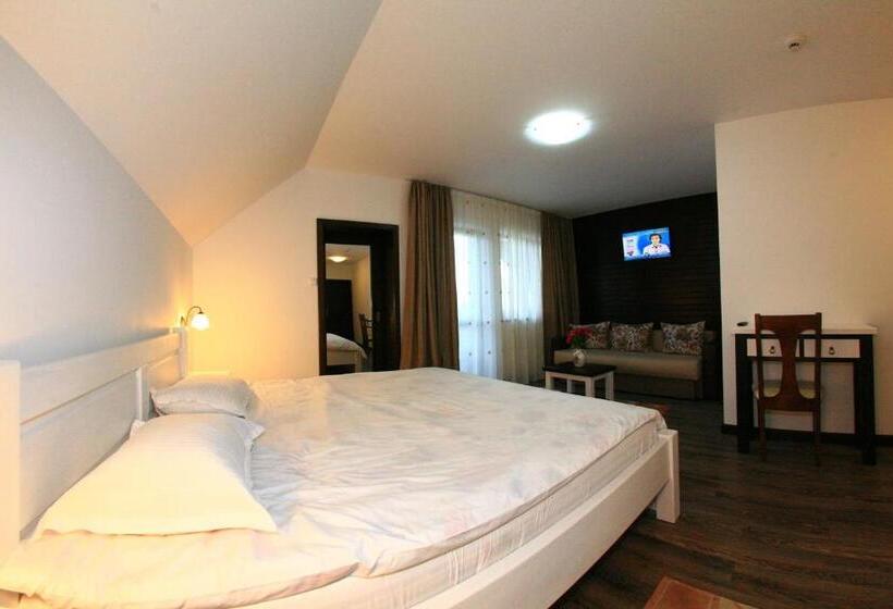 舒适型房间, Pensiunea Casa Elvira