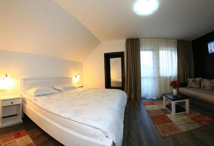 舒适型房间, Pensiunea Casa Elvira