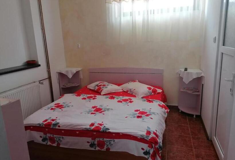 חדר סטנדרט, Pensiunea Tania