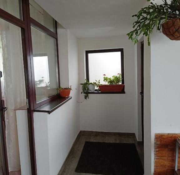 וילה בת חדר שינה 1, Pensiunea Tania