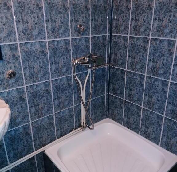 חדר סטנדרט עם מרפסת, Pensiunea Tania