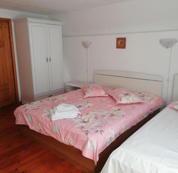 חדר קומפורט לשלושה, Pensiunea Tania