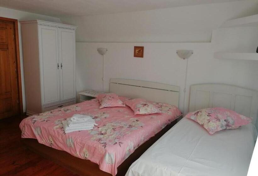 חדר קומפורט לשלושה, Pensiunea Tania