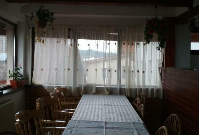 וילה בת חדר שינה 1, Pensiunea Tania