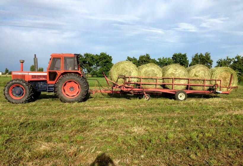 غرفة قياسية, B&b Antica Cascina