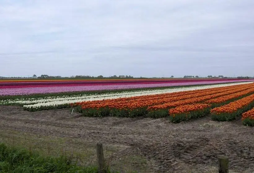 デラックスルーム, Het Burgemeestershuis