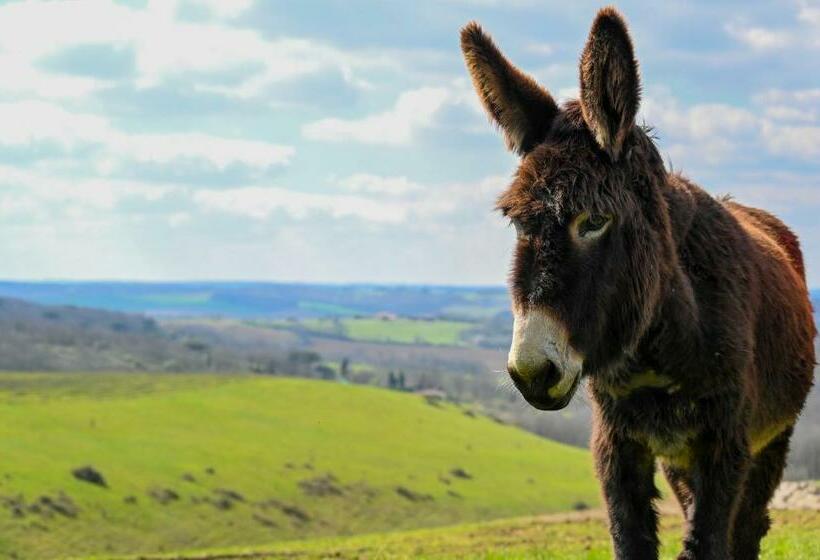 침실 3개 주택, Gîte Et Lodges Du Hitton