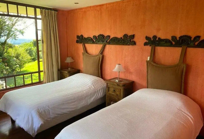 スタンダードルーム, Hacienda La Alegria