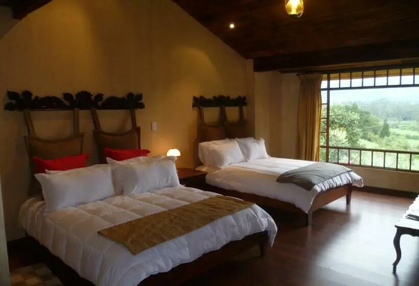 スタンダードルーム, Hacienda La Alegria