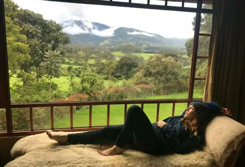 スタンダードルーム, Hacienda La Alegria