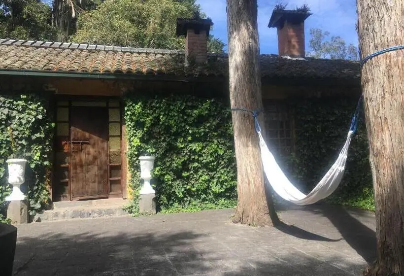スイート, Hacienda La Alegria