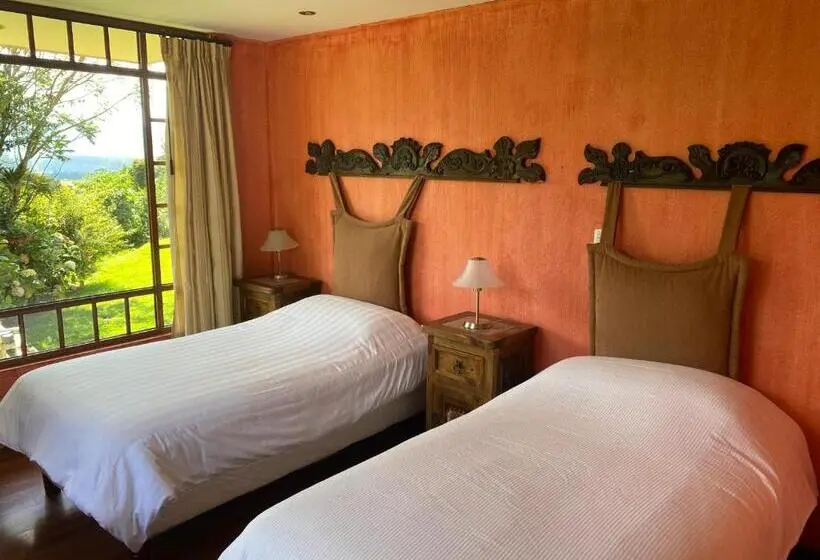 エコノミールーム, Hacienda La Alegria