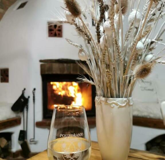 ファミリールーム, Vinný Tunel