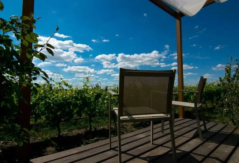デラックスルーム, Pizzorno Lodge & Wine