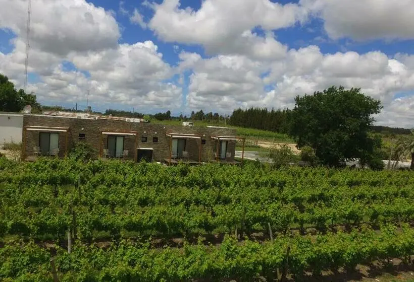 デラックスルーム, Pizzorno Lodge & Wine
