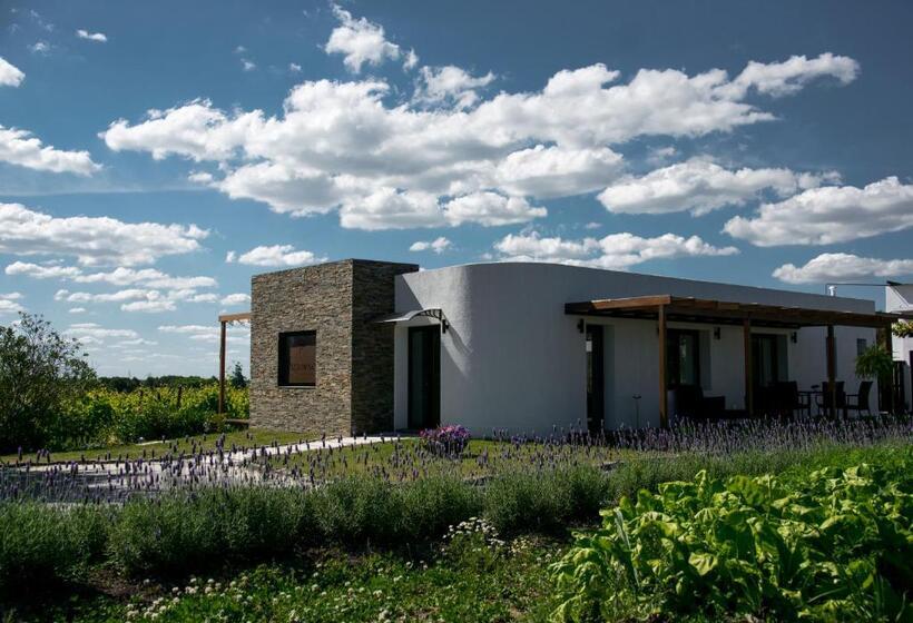 Номер Deluxe, Pizzorno Lodge & Wine