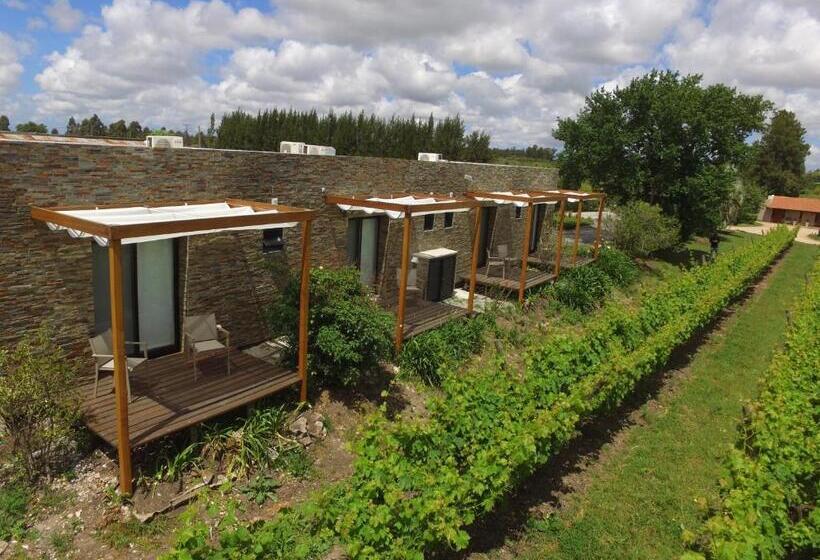 Номер Стандарт, Pizzorno Lodge & Wine