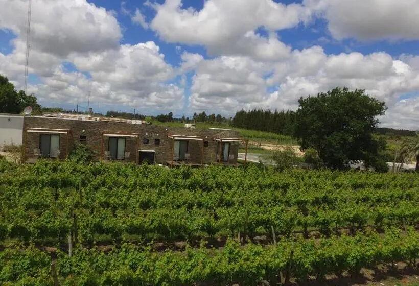 スタンダードルーム, Pizzorno Lodge & Wine