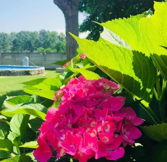 スタンダードルーム, B&b Dallo Zio