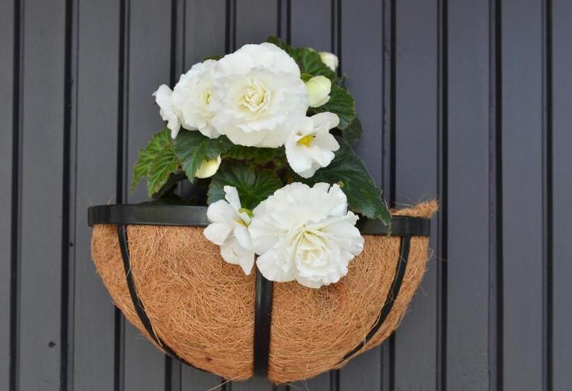 شقة غرفة واحدة, Edelweiss Motel