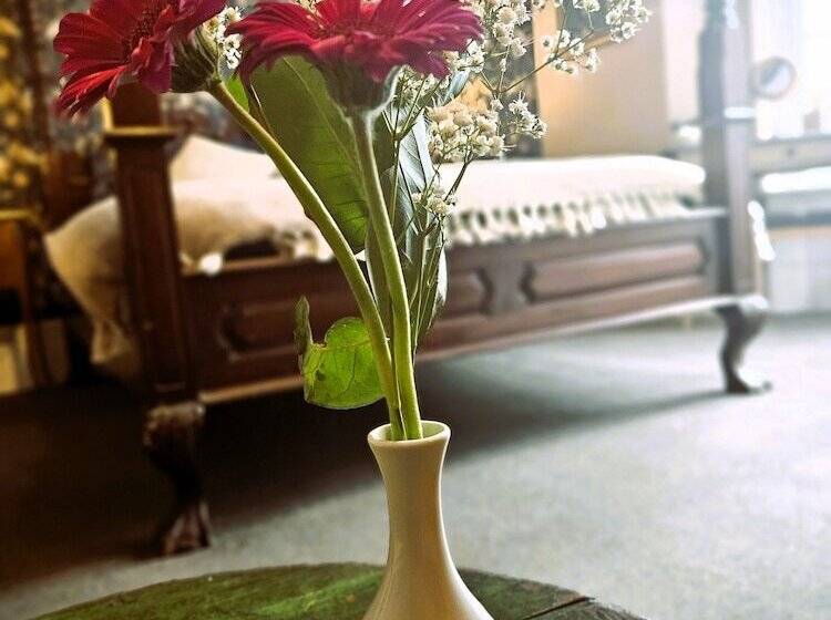 חדר סטנדרט, קומת קרקע, Ashburton House  B&b