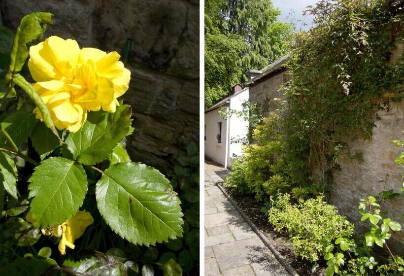 חדר סטנדרט יחיד, Bankton House